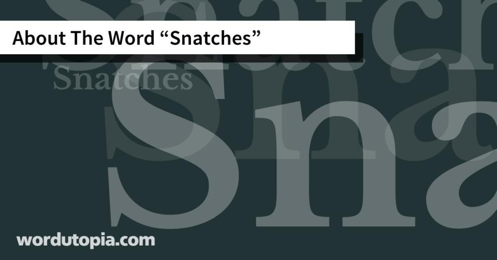 About The Word Snatches