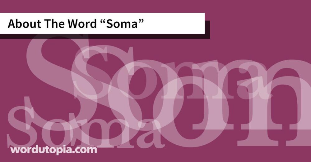 About The Word Soma