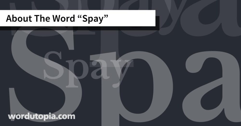 About The Word Spay