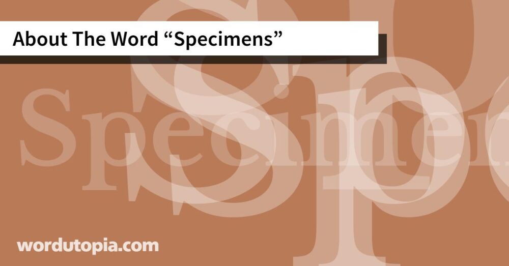 About The Word Specimens