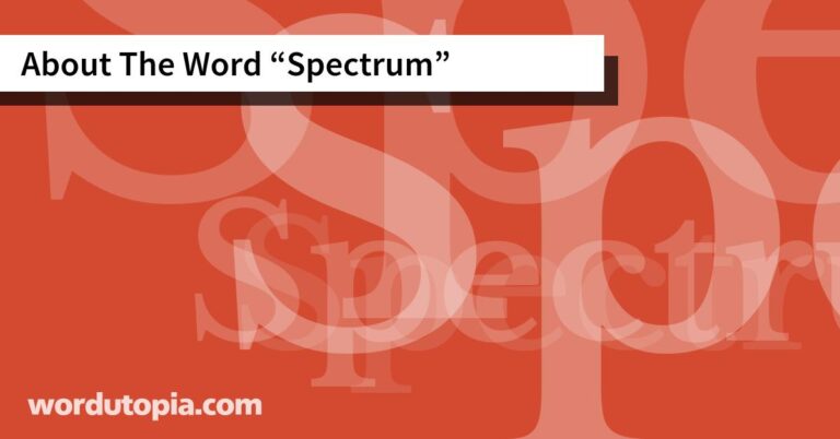 About The Word 