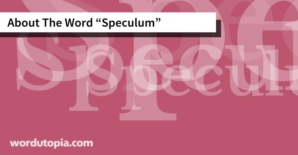 About The Word Speculum