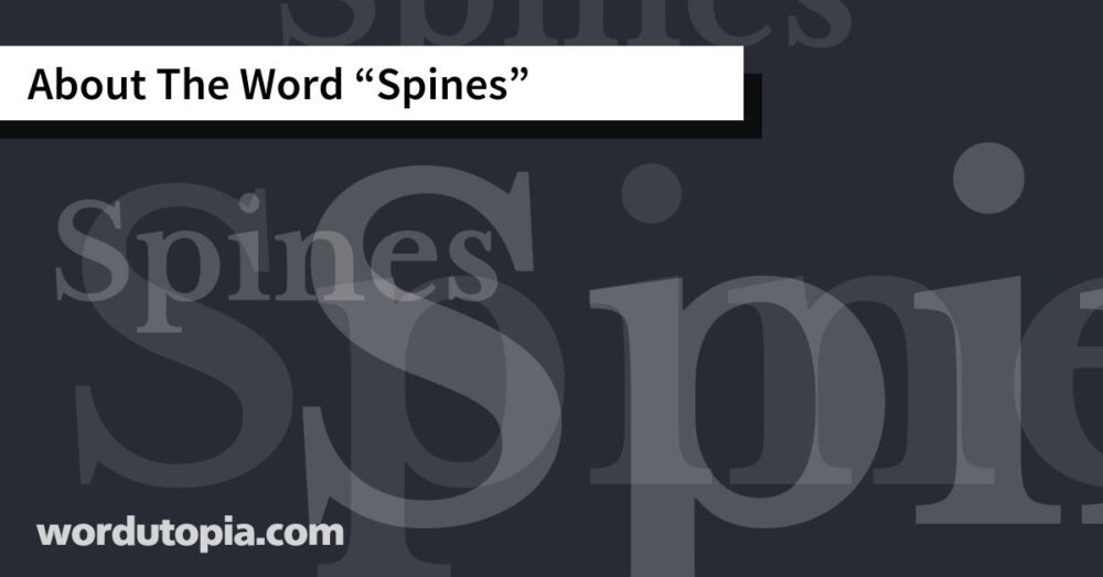 About The Word Spines