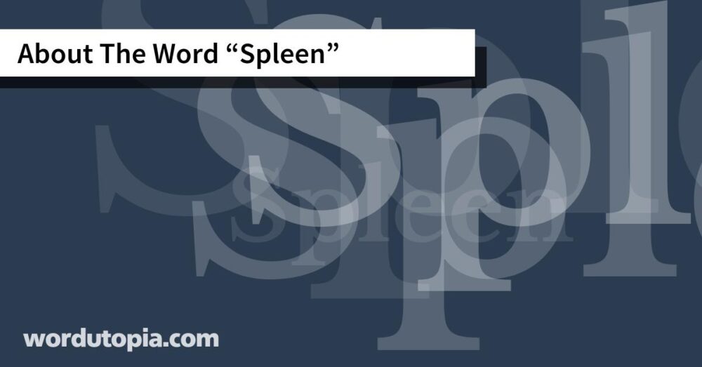 About The Word Spleen