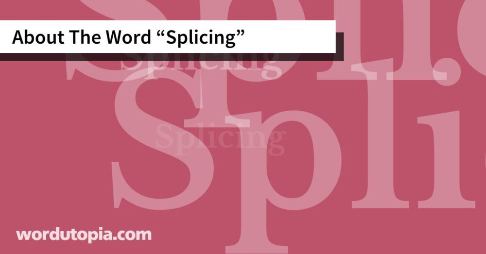 About The Word Splicing