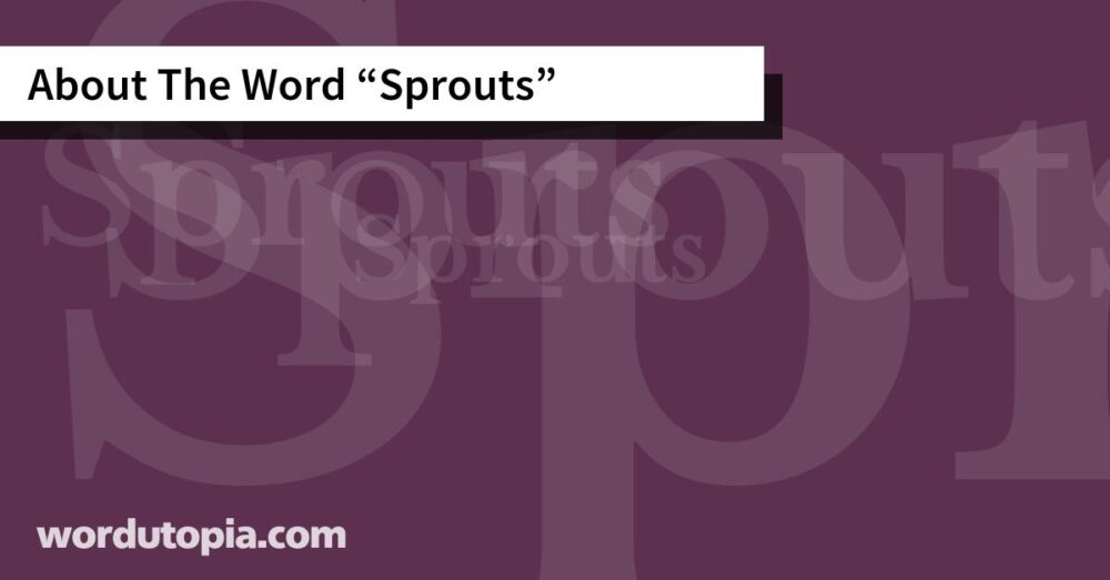 About The Word Sprouts