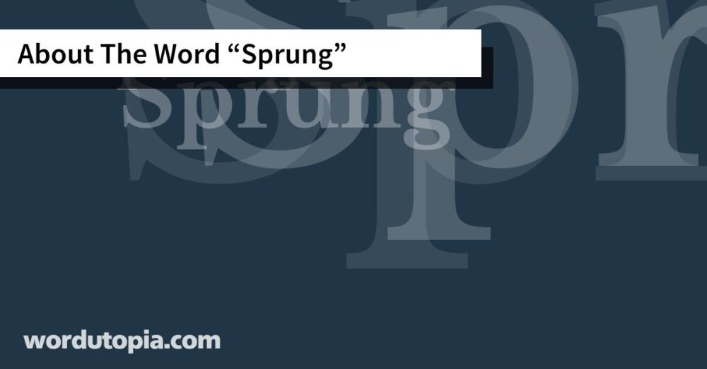About The Word Sprung