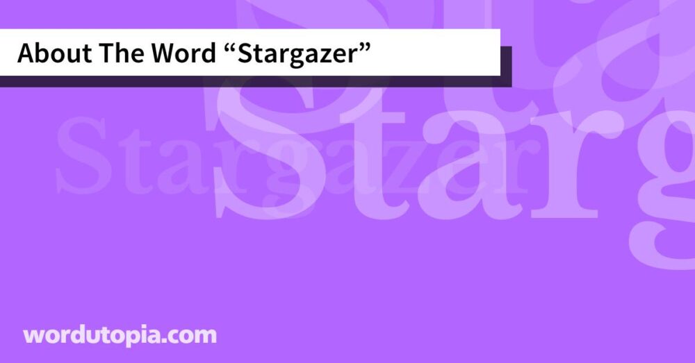 About The Word Stargazer