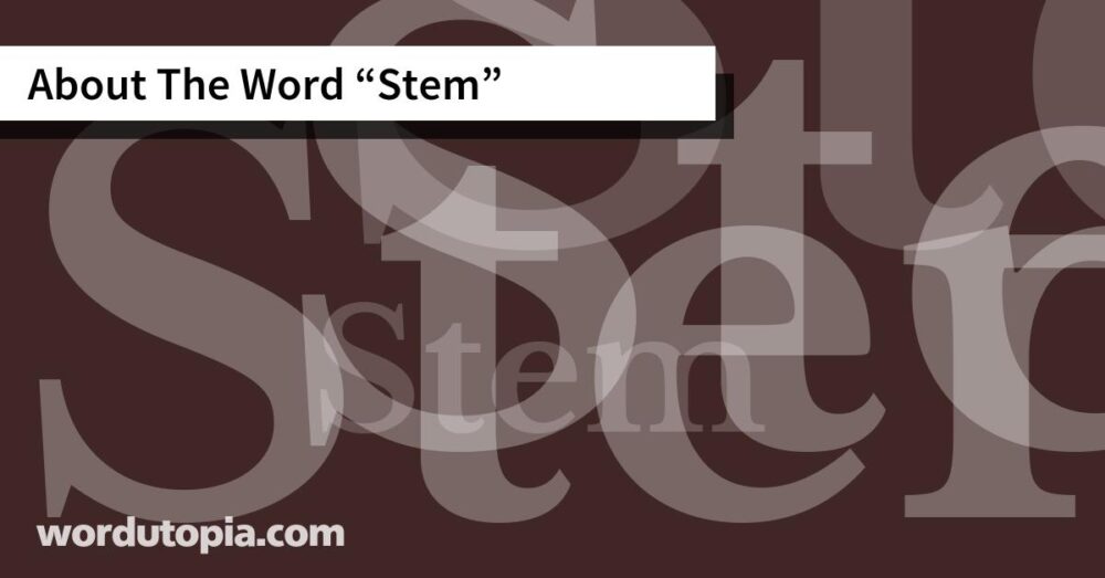 About The Word Stem