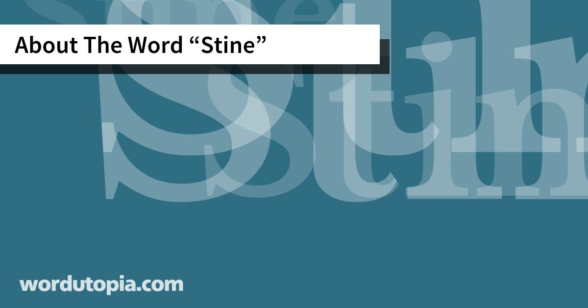 About The Word Stine