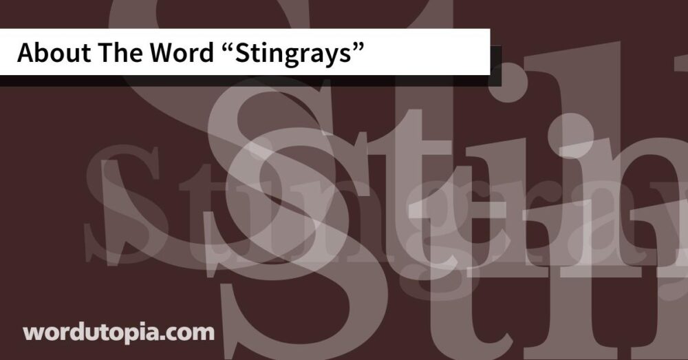 About The Word Stingrays