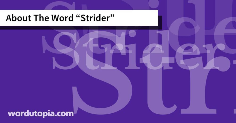 About The Word Strider