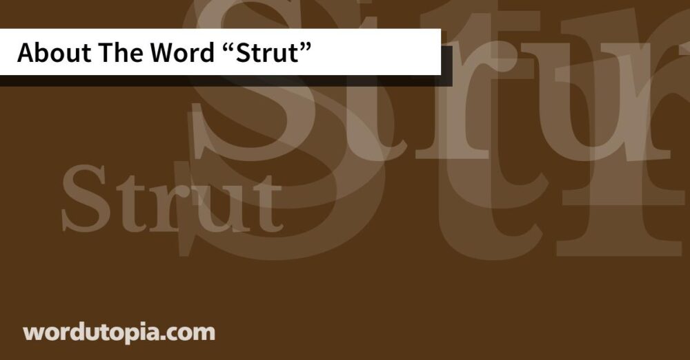 About The Word Strut
