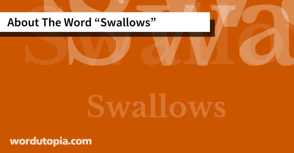 About The Word Swallows