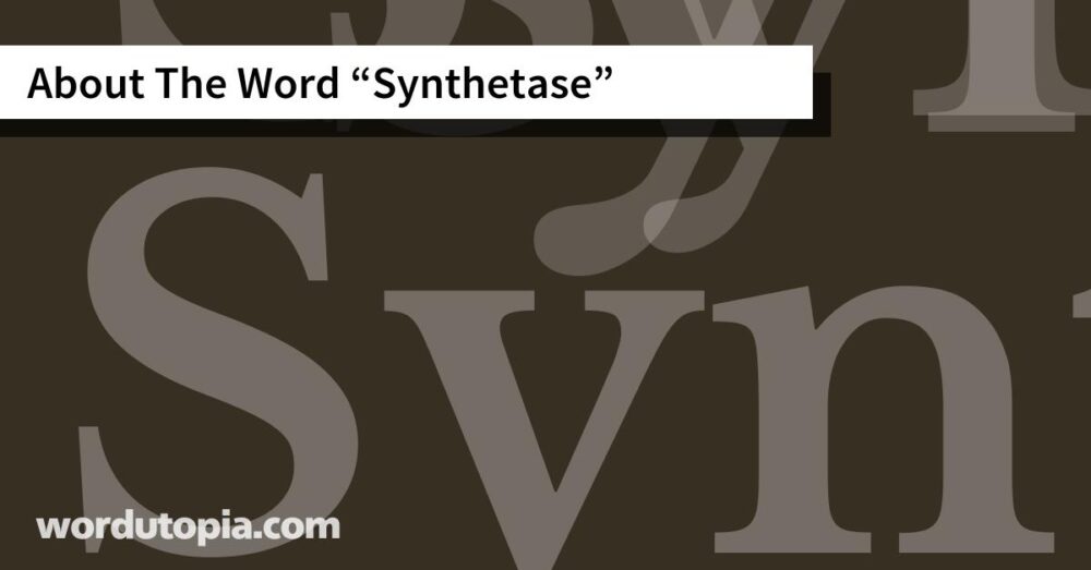 About The Word Synthetase