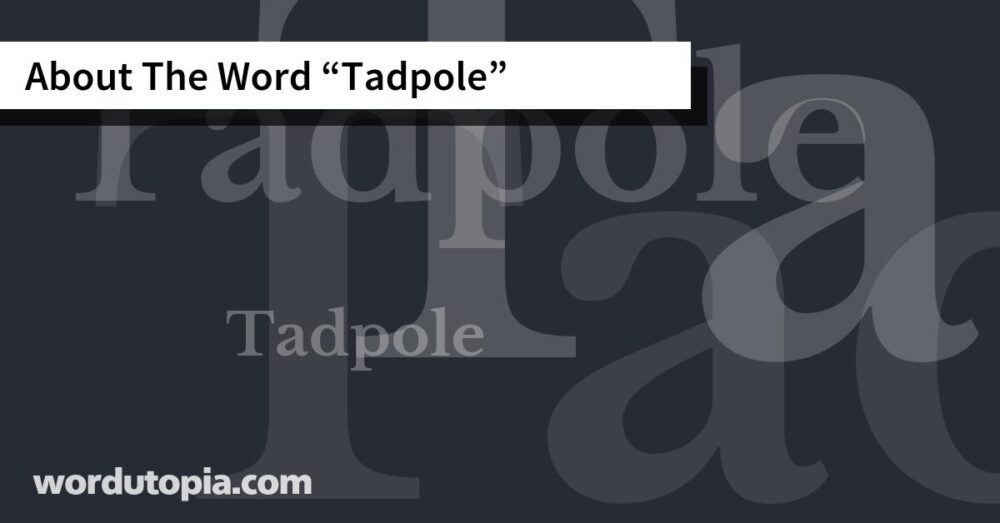 About The Word Tadpole