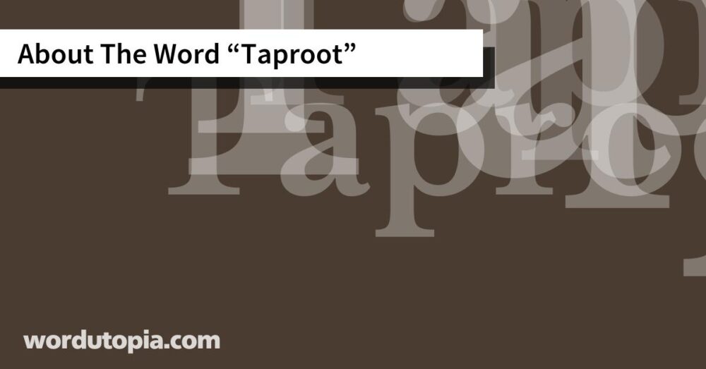 About The Word Taproot