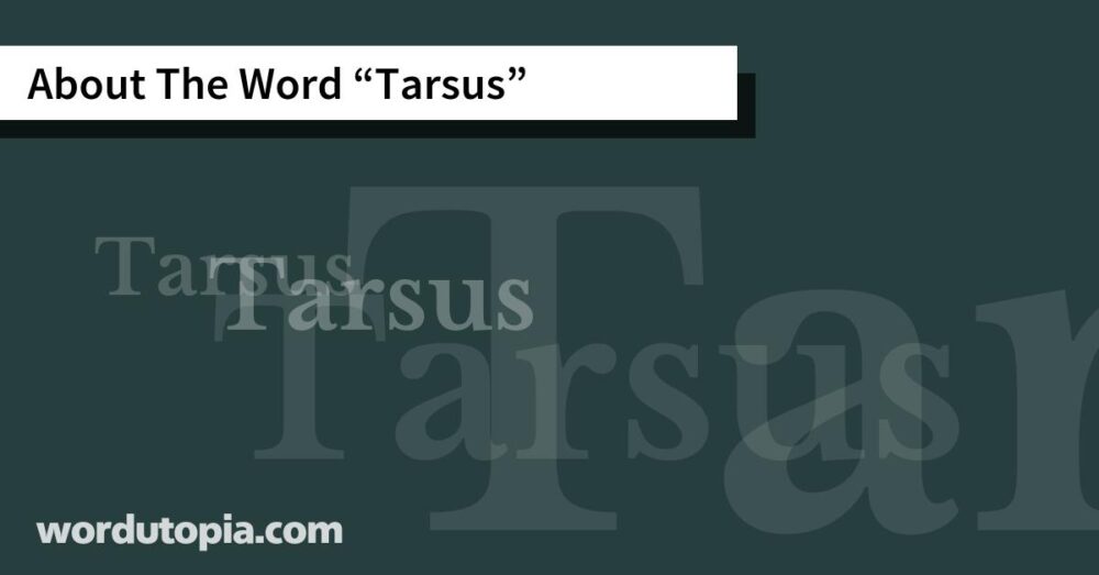 About The Word Tarsus