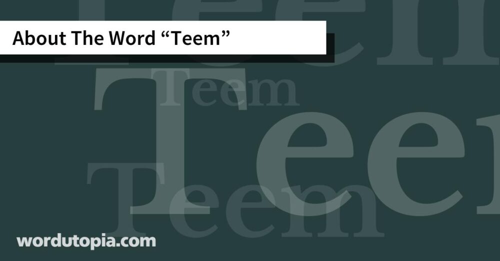 About The Word Teem