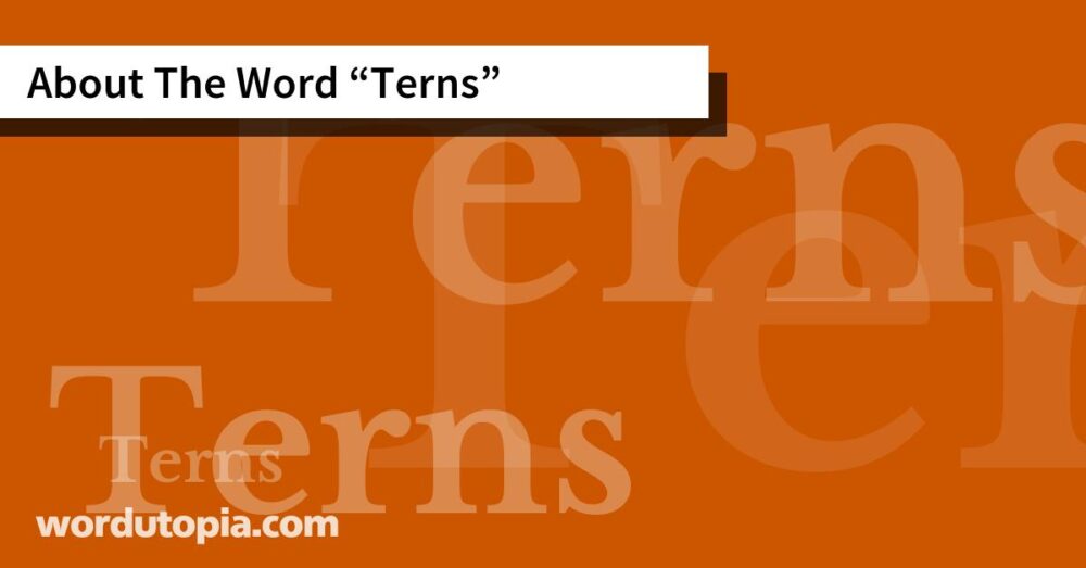About The Word Terns