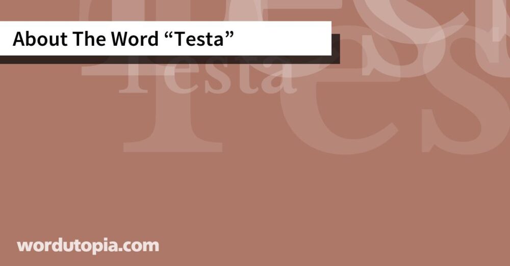 About The Word Testa