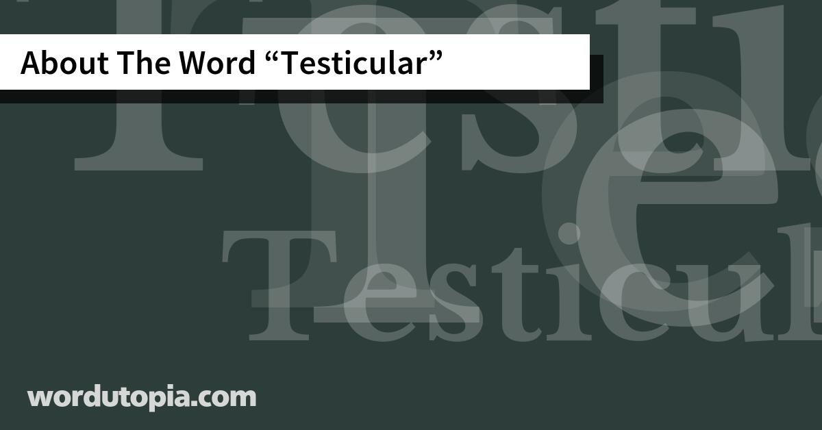 About The Word Testicular