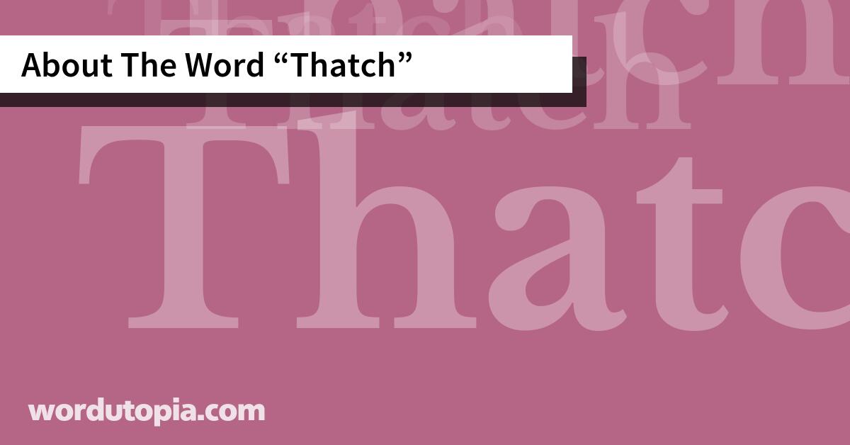 About The Word Thatch