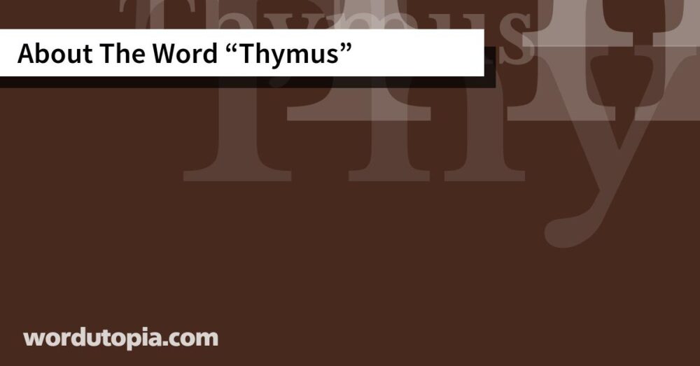 About The Word Thymus