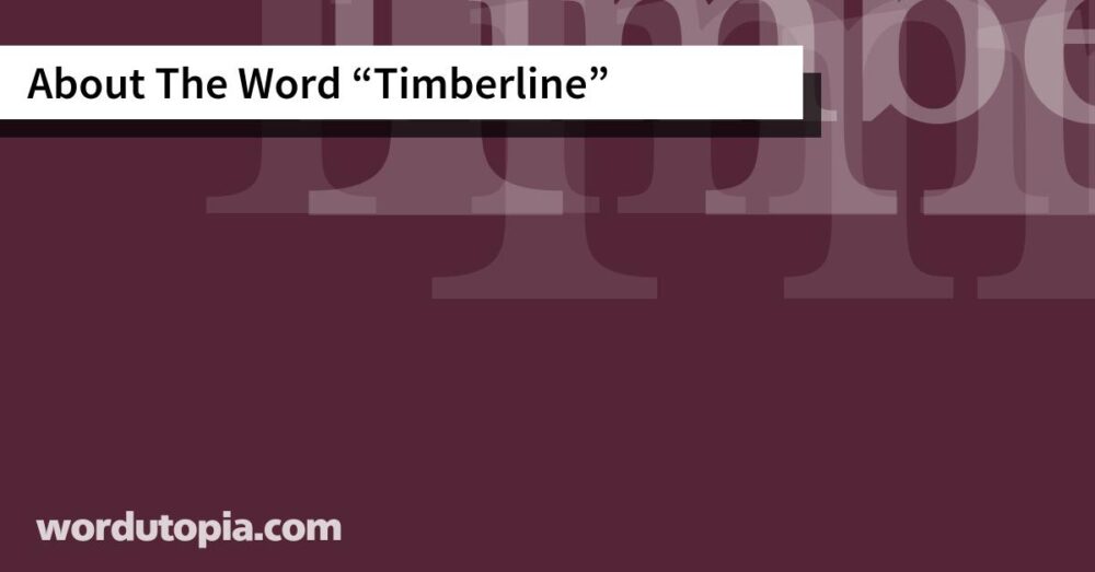 About The Word Timberline