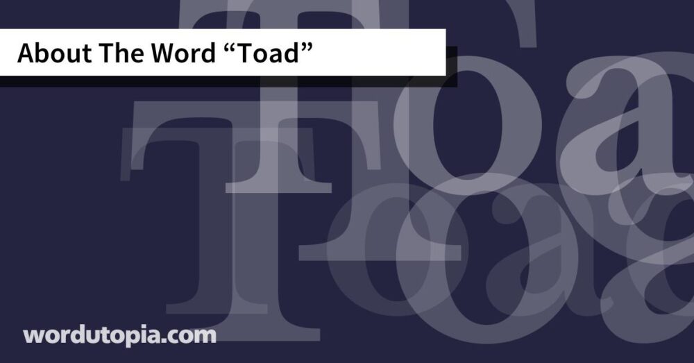 About The Word Toad