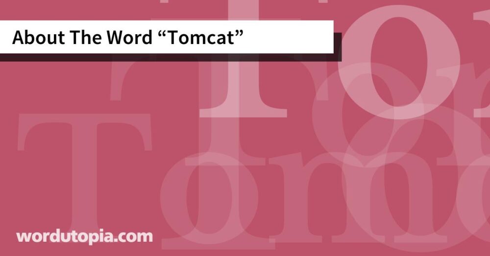 About The Word Tomcat