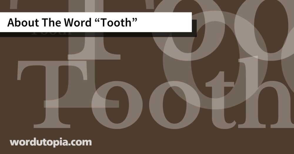 About The Word Tooth