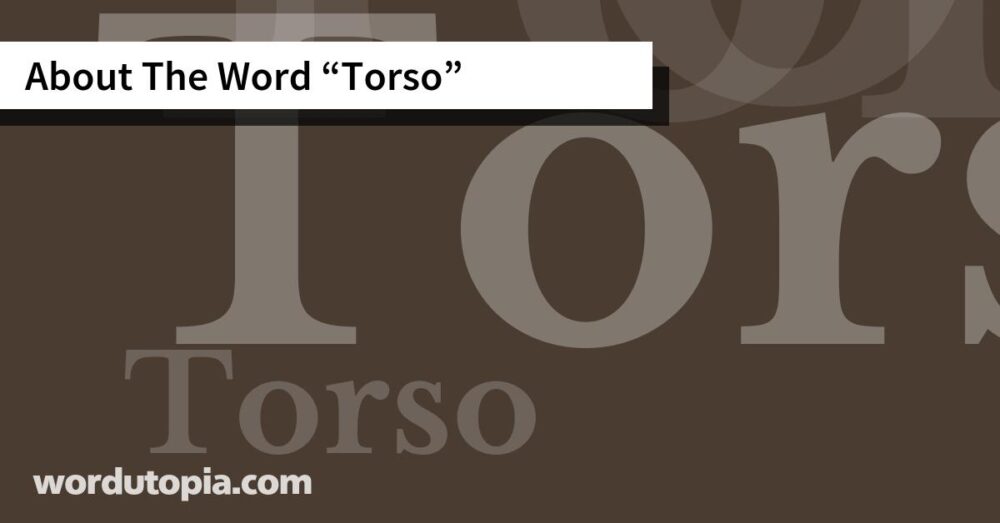 About The Word Torso