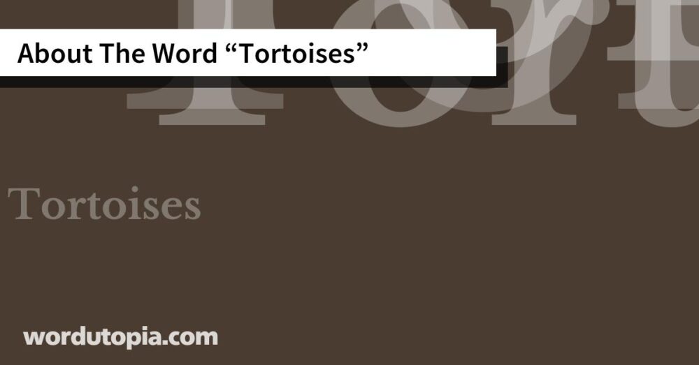 About The Word Tortoises