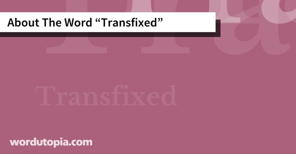 About The Word Transfixed