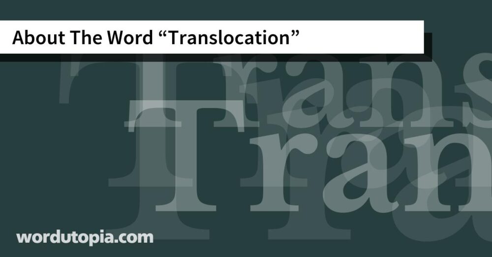 About The Word Translocation