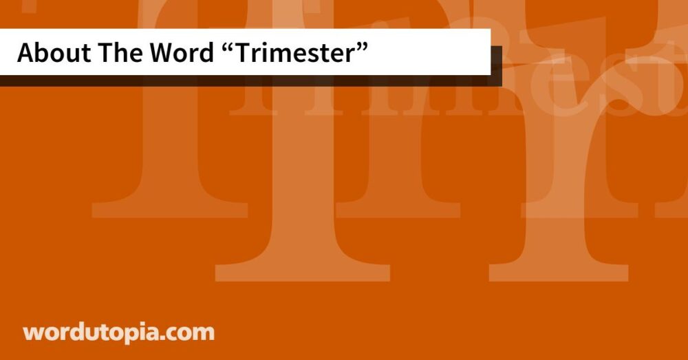 About The Word Trimester