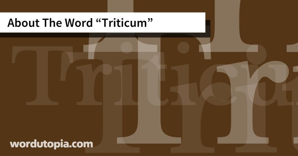 About The Word Triticum