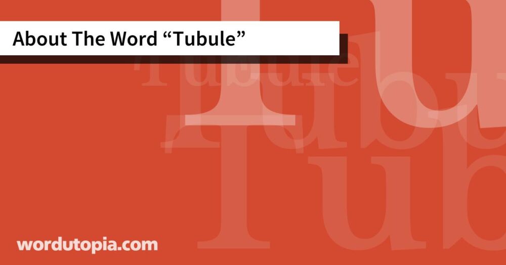 About The Word Tubule