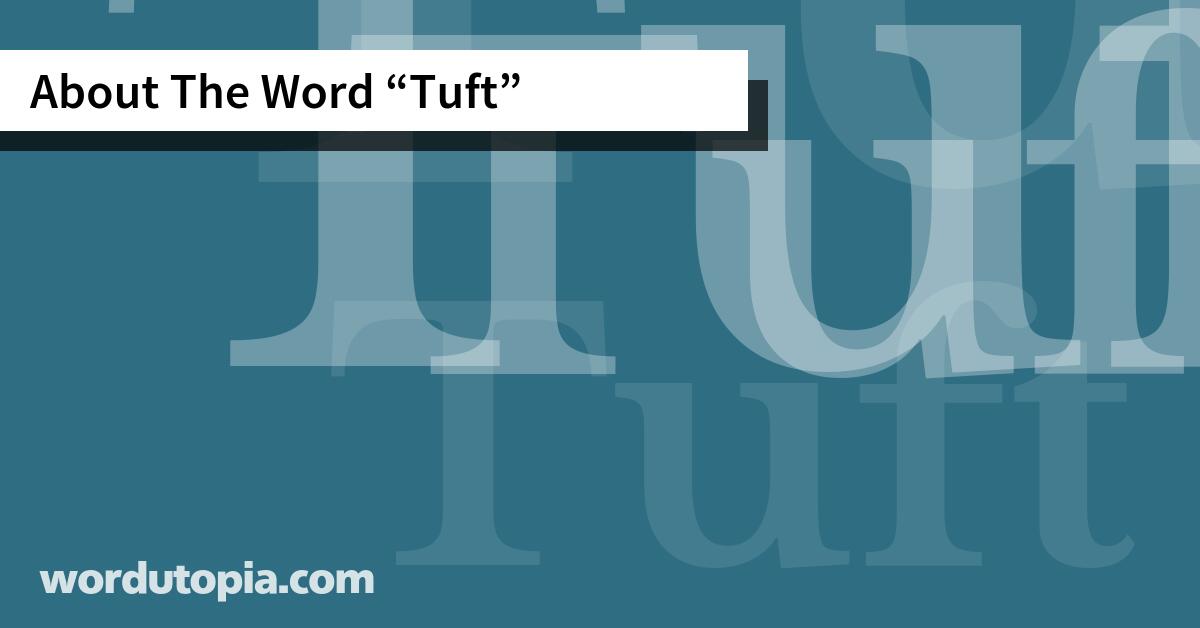 About The Word Tuft