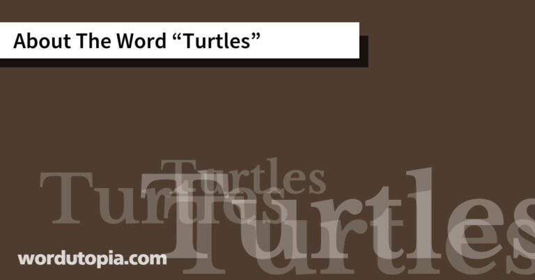 About The Word 