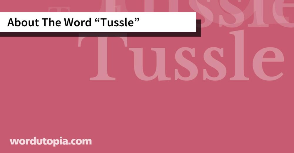 About The Word Tussle