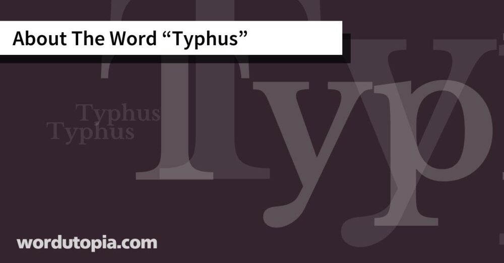 About The Word Typhus