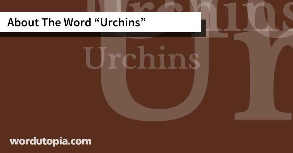 About The Word Urchins