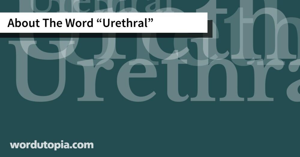 About The Word Urethral