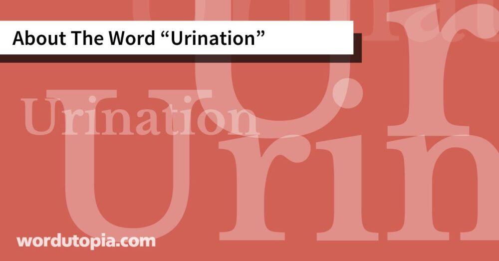 About The Word Urination