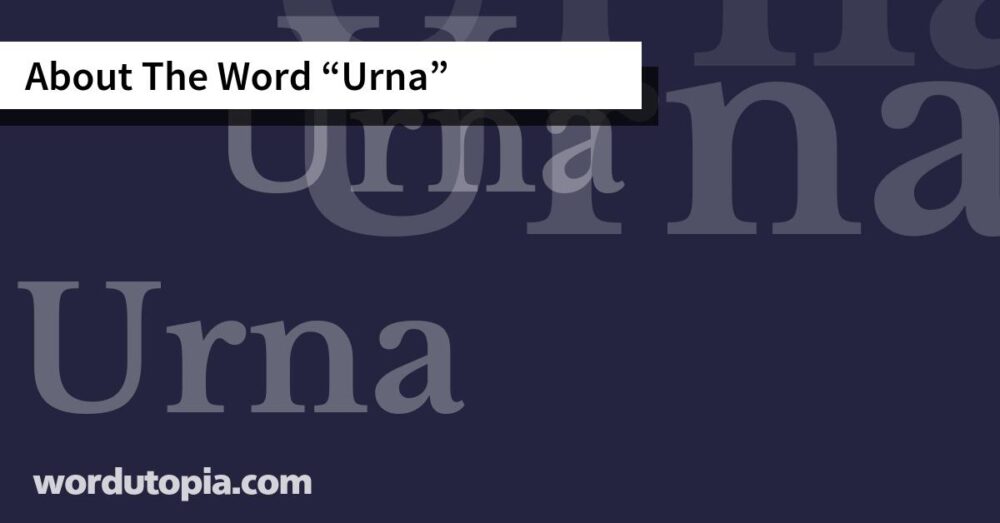 About The Word Urna