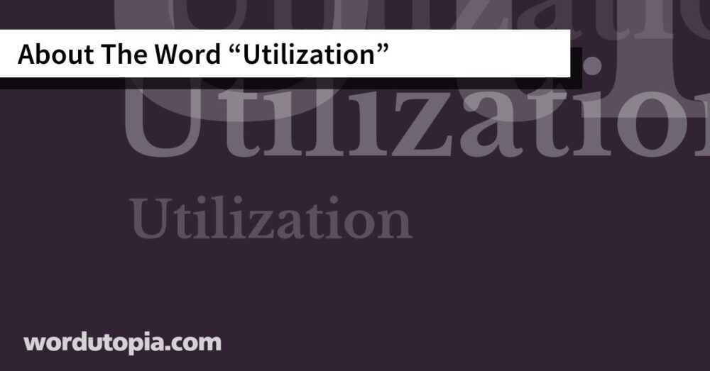 About The Word Utilization