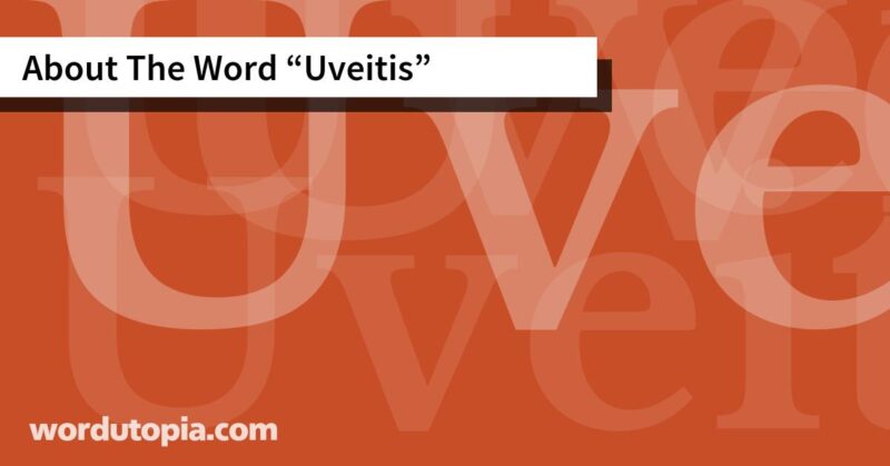 About The Word Uveitis