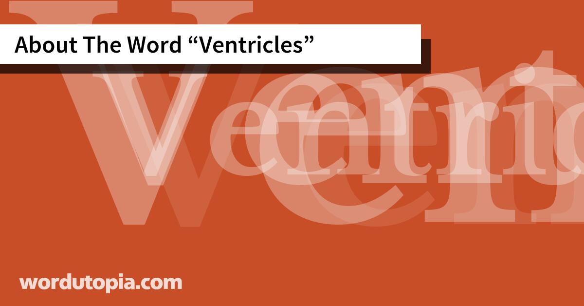 About The Word Ventricles